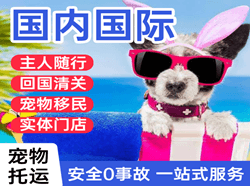 常州航空货运国际宠物托运 【国